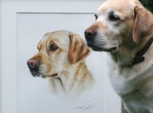Portrait Zeichnung Labrador Aquarell nach Foto