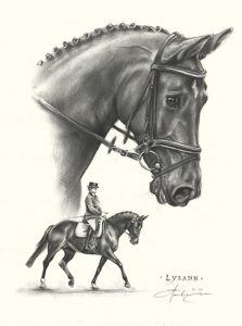Pferdeportrait Zeichnung