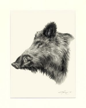 Wildschwein