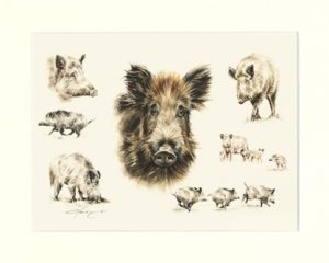 Wildschweine