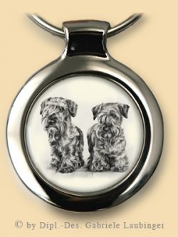 Cesky Terrier S01