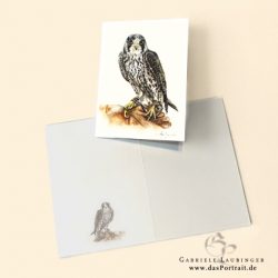 Klappkarte Wanderfalke