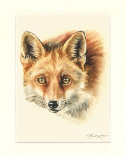 Fuchs 01