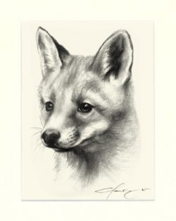 Fuchs 02