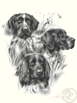 Jagdhunde