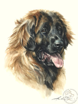 Leonberger