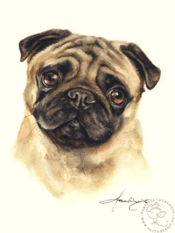 Mops