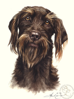 Pudelpointer