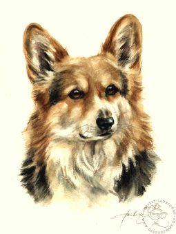 Welsh Corgi