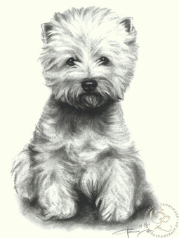 Westhighland White Terrier