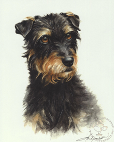 Deutscher Jagdterrier