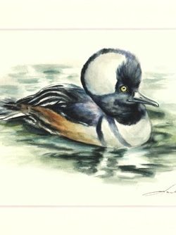 Ente 01