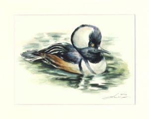 Ente 01
