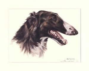 Barsoi 01