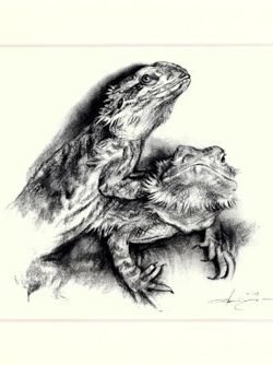 Bartagame 01