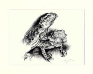 Bartagame 01