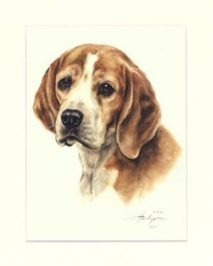 Beagle 02