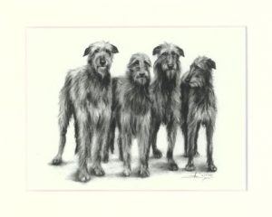 Deerhound 04