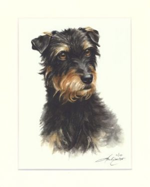 Deutscher Jagdterrier 01