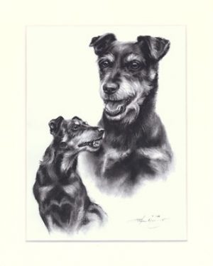 Deutscher Jagdterrier 02