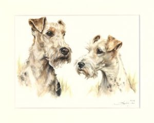 Fox Terrier 01