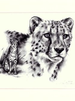 Gepard 01