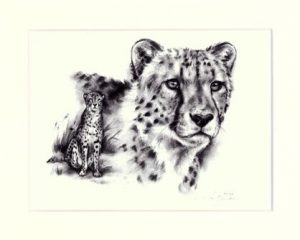 Gepard 01