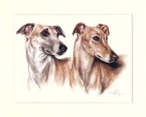 Greyhound 02