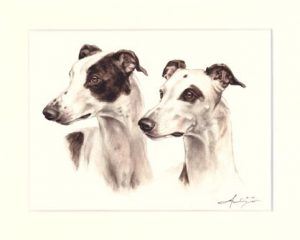 Greyhound 03