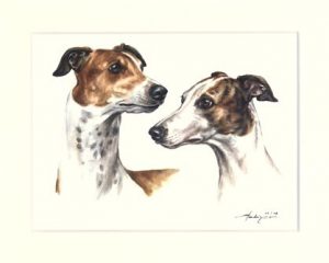 Greyhound 04