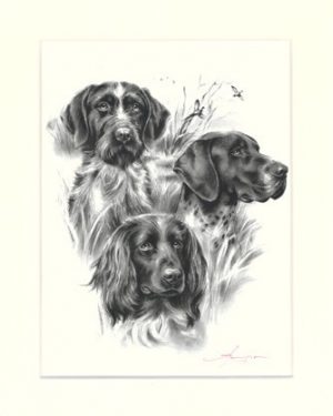 Jagdhunde 01