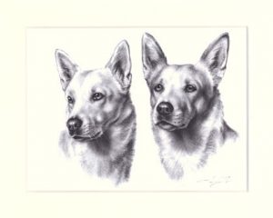 Kanaan Hund 01