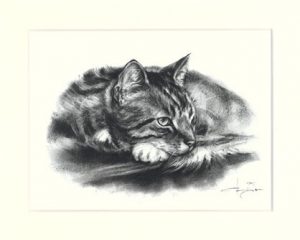 Katze 01