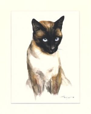 Katze 02