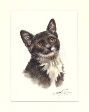 Katze 03