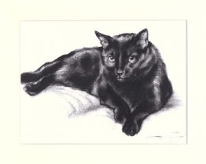 Katze 04