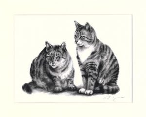 Katze 05