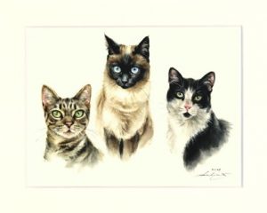 Katze 06