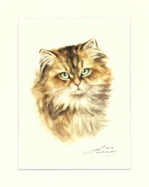 Katze 07