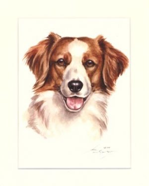 Kooikerhondje 02