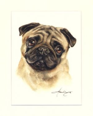 Mops 02