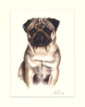 Mops 03