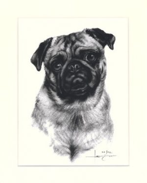 Mops 05