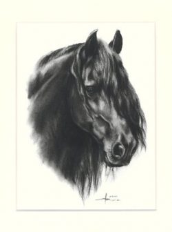 Pferd 02