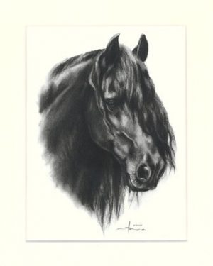 Pferd 02