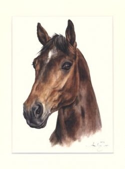 Pferd 03