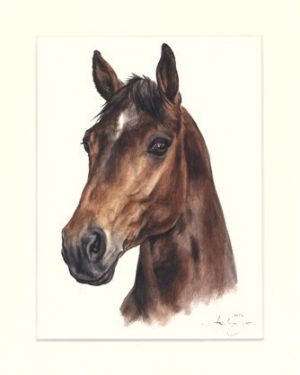 Pferd 03