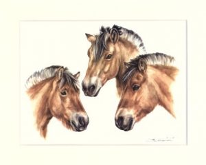 Pferd 04