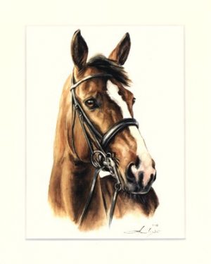 Pferd 05
