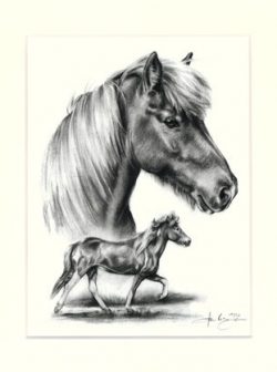 Pferd 11